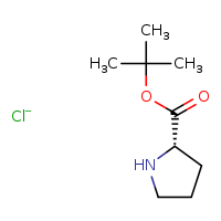 tert-butyl (2S)-pyrrolidine-2-carboxylate chloride