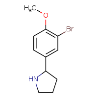 2-(3-bromo-4-methoxyphenyl)pyrrolidine
