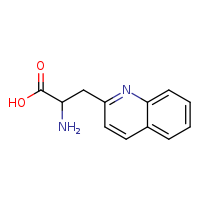 2-amino-3-(quinolin-2-yl)propanoic acid