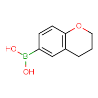3,4-dihydro-2H-1-benzopyran-6-ylboronic acid