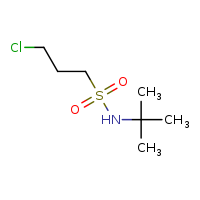 N-tert-butyl-3-chloropropane-1-sulfonamide