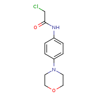 2-chloro-N-[4-(morpholin-4-yl)phenyl]acetamide