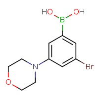 3-bromo-5-(morpholin-4-yl)phenylboronic acid