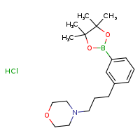 4-{3-[3-(4,4,5,5-tetramethyl-1,3,2-dioxaborolan-2-yl)phenyl]propyl}morpholine hydrochloride