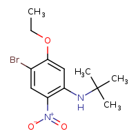 4-bromo-N-tert-butyl-5-ethoxy-2-nitroaniline