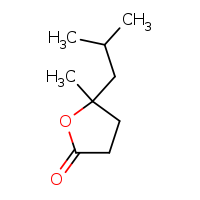 5-methyl-5-(2-methylpropyl)oxolan-2-one