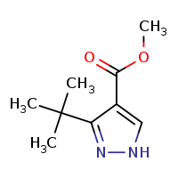 methyl 3-tert-butyl-1H-pyrazole-4-carboxylate