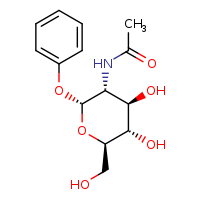 N-[(2R,3R,4R,5S,6R)-4,5-dihydroxy-6-(hydroxymethyl)-2-phenoxyoxan-3-yl]acetamide