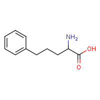 2-amino-5-phenylpentanoic acid
