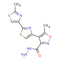 5-methyl-4-[2-(2-methyl-1,3-thiazol-4-yl)-1,3-thiazol-4-yl]-1,2-oxazole-3-carbohydrazide