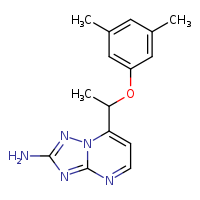 7-[1-(3,5-dimethylphenoxy)ethyl]-[1,2,4]triazolo[1,5-a]pyrimidin-2-amine