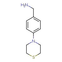 1-[4-(thiomorpholin-4-yl)phenyl]methanamine