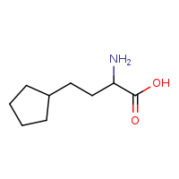 2-amino-4-cyclopentylbutanoic acid