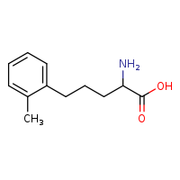 2-amino-5-(2-methylphenyl)pentanoic acid