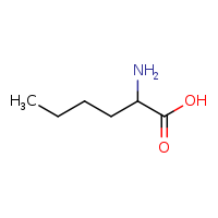 2-aminohexanoic acid