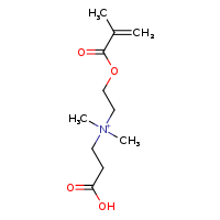 (2-carboxyethyl)dimethyl{2-[(2-methylprop-2-enoyl)oxy]ethyl}azanium