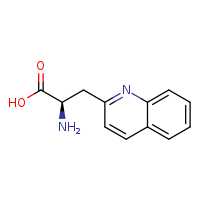 (2R)-2-amino-3-(quinolin-2-yl)propanoic acid
