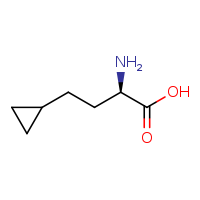 (2R)-2-amino-4-cyclopropylbutanoic acid