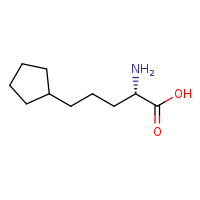 (2S)-2-amino-5-cyclopentylpentanoic acid