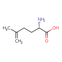 (2S)-2-amino-5-methylhex-5-enoic acid