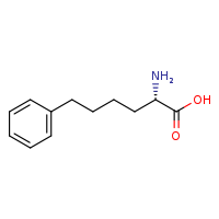 (2S)-2-amino-6-phenylhexanoic acid