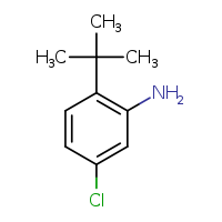 2-tert-butyl-5-chloroaniline
