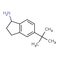 5-tert-butyl-2,3-dihydro-1H-inden-1-amine