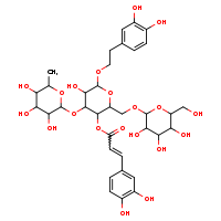 6-[2-(3,4-dihydroxyphenyl)ethoxy]-5-hydroxy-2-({[3,4,5-trihydroxy-6-(hydroxymethyl)oxan-2-yl]oxy}methyl)-4-[(3,4,5-trihydroxy-6-methyloxan-2-yl)oxy]oxan-3-yl 3-(3,4-dihydroxyphenyl)prop-2-enoate