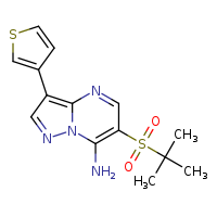 6-(2-methylpropane-2-sulfonyl)-3-(thiophen-3-yl)pyrazolo[1,5-a]pyrimidin-7-amine