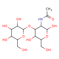 N-[2,5-dihydroxy-6-(hydroxymethyl)-4-{[3,4,5-trihydroxy-6-(hydroxymethyl)oxan-2-yl]oxy}oxan-3-yl]acetamide