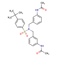 N-[3-({N-[(3-acetamidophenyl)methyl]-4-tert-butylbenzenesulfonamido}methyl)phenyl]acetamide
