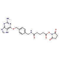 2,5-dioxopyrrolidin-1-yl 4-{[(4-{[(2-amino-7H-purin-6-yl)oxy]methyl}phenyl)methyl]carbamoyl}butanoate