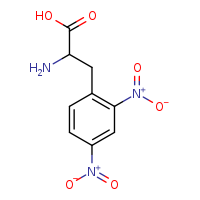 2-amino-3-(2,4-dinitrophenyl)propanoic acid