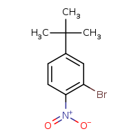 2-bromo-4-tert-butyl-1-nitrobenzene