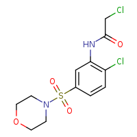 2-chloro-N-[2-chloro-5-(morpholine-4-sulfonyl)phenyl]acetamide