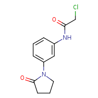 2-chloro-N-[3-(2-oxopyrrolidin-1-yl)phenyl]acetamide