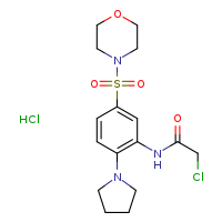 2-chloro-N-[5-(morpholine-4-sulfonyl)-2-(pyrrolidin-1-yl)phenyl]acetamide hydrochloride