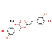3-(3,4-dihydroxyphenyl)-1-methoxy-1-oxopropan-2-yl 3-(3,4-dihydroxyphenyl)prop-2-enoate
