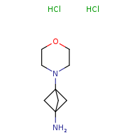 3-(morpholin-4-yl)bicyclo[1.1.1]pentan-1-amine dihydrochloride