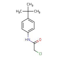 N-(4-tert-butylphenyl)-2-chloroacetamide